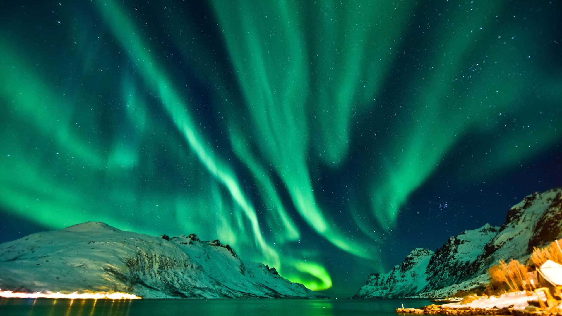 Vibrant green and purple northern lights shimmering over a snow-covered pine forest under a starry night sky.